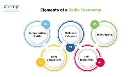 skillba review|How to take a skills.